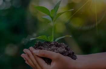 consultoria ambiental licenciamento ambiental imasul