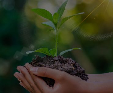 consultoria ambiental licenciamento ambiental imasul